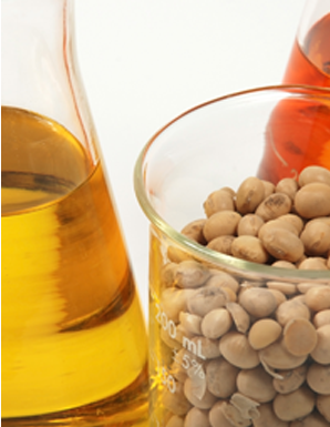 Zoye FAQ – oil with soybeans Zoye FAQ - oil with soybeans