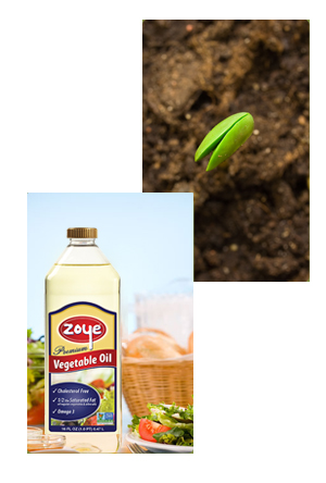 About Us - Soil to Oil